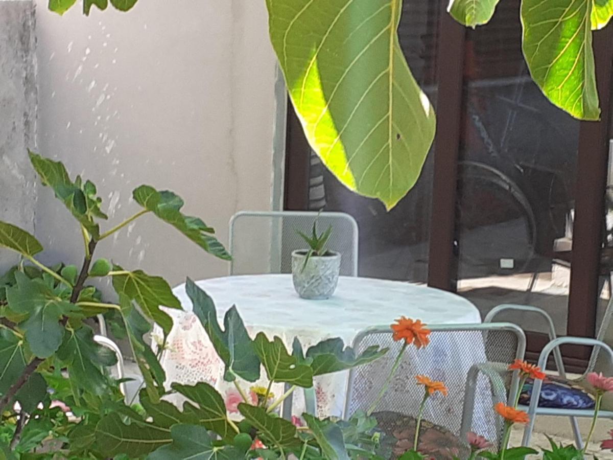 Apartment Helena Senj  Εξωτερικό φωτογραφία