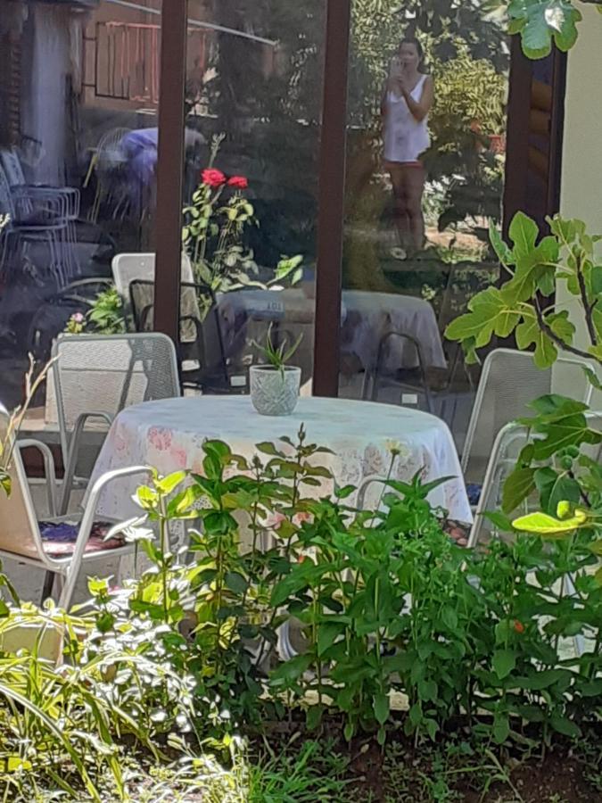 Apartment Helena Senj  Εξωτερικό φωτογραφία